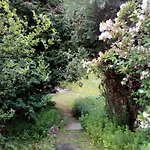 Kaskada *