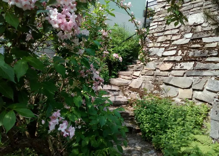 公寓 Kaskada 米迪格兹